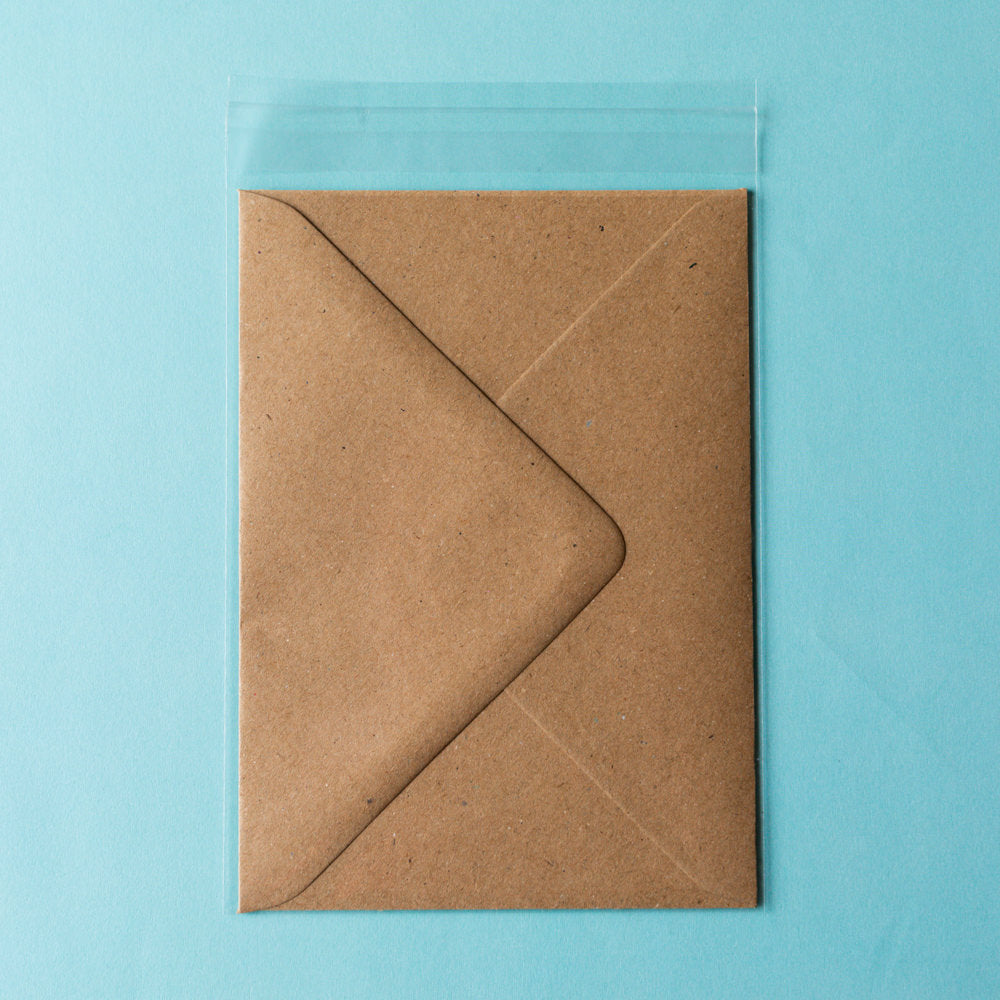Biodegradable C6 Cello Bags
